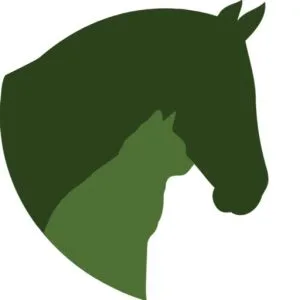 HaukiVet logo, JeleTele Design